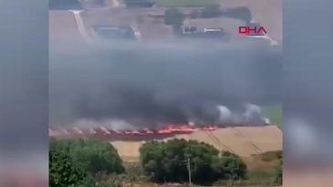 B&uuml;y&uuml;k&ccedil;ekmece'de Buğday Tarlası Yangınla Kavruldu