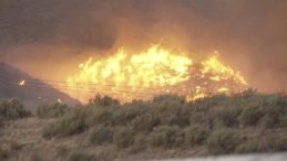 California’da Yangın Pancaklaşıyor: Binlerce Hektar Yok Oldu