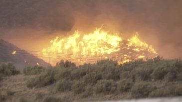 California&rsquo;da Yangın Pancaklaşıyor: Binlerce Hektar Yok Oldu