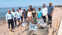 Caretta Caretta Yumurtaları Koruma Altında