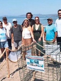 Caretta Caretta Yumurtaları Koruma Altında