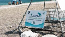 Caretta Carettaların İşletmeler Tarafından Sahiplenilmesi