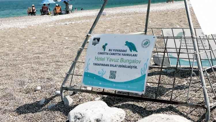 Caretta Carettaların İşletmeler Tarafından Sahiplenilmesi