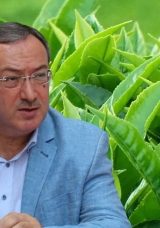 &Ccedil;aykur Rekolteye Ulaşıyor