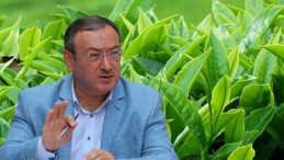 Çaykur Rekolteye Ulaşıyor