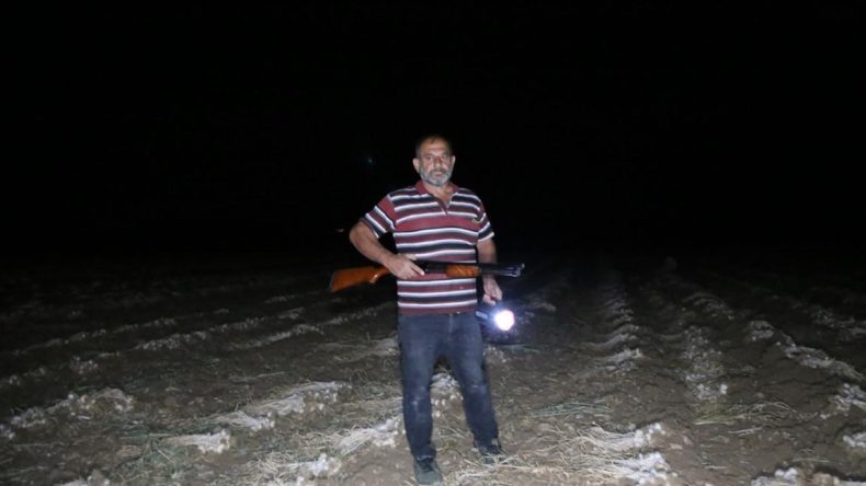 Çiftçiler 'beyaz altın' için tarlada nöbet tutuyor: Güvenlik kamerası kurduran da var aracında yatıp kalkan da