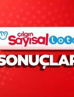 Çılgın Sayısal Loto Sonuçları 16 Temmuz 2025 Açıklandı mı? Milli Piyango Online Sayısal Loto Çekiliş Sonuçları Sorgulama Ekranı