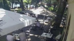 Çınardan Kopan Dal Hayat Aldı: Korkunç Anlar Kameralara Yansıdı!
