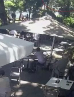 Çınardan Kopan Dal Hayat Aldı: Korkunç Anlar Kameralara Yansıdı!