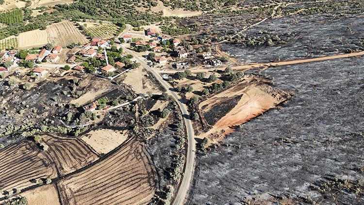 Ciğerlerimiz Yanıyor! Orman Yangınlarında Son Durum
