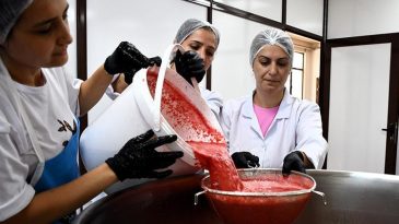 Değerine değer kattılar: Kilosu 1 lira olan meyveden &uuml;retip 250 liraya satıyorlar