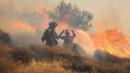 DEM Parti Sözcüsü Doğan: PKK Haftaya Silah Bırakacak
