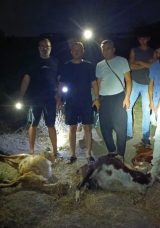 Dereden Su İ&ccedil;en 65 K&uuml;&ccedil;&uuml;kbaş Telef Oldu! İl&ccedil;e Tarım M&uuml;d&uuml;rl&uuml;ğ&uuml; Olayla İlgili İnceleme Başlattı