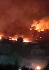 Dikili'de Makilik Alandaki Yangın Ormana Sı&ccedil;radı! İzmir-&Ccedil;anakkale Yolu Ulaşıma Kapandı