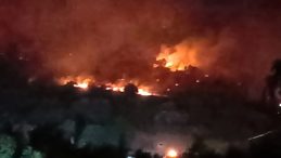 Dikili'de Makilik Alandaki Yangın Ormana Sıçradı! İzmir-Çanakkale Yolu Ulaşıma Kapandı