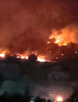 Dikili'de Makilik Alandaki Yangın Ormana Sıçradı! İzmir-Çanakkale Yolu Ulaşıma Kapandı