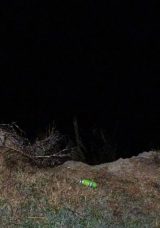 D&uuml;den Şelalesi'nde D&uuml;şen Kişiyi Bulmak İ&ccedil;in &Ccedil;alışmalar Devam Ediyor