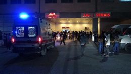 Eşini 20'den Fazla Bıçak Darbesiyle Öldürdü