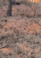 Eskişehir&rsquo;deki Yangın Faciasında Şok Edici G&ouml;r&uuml;nt&uuml;ler! Acil Kodla Yardım İstendi