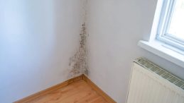 Evde Nem Oranı Fazlaysa Ne Yapmak Gerekir? Odadaki Fazla Nem Nasıl Düşürülür?