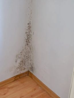 Evde Nem Oranı Fazlaysa Ne Yapmak Gerekir? Odadaki Fazla Nem Nasıl Düşürülür?