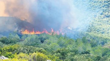 Fransa Yanıyor: &Uuml;lke Geneline Yayılmış Protestolar
