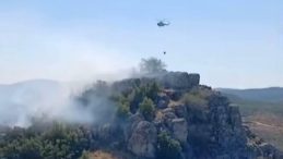 Gaziantep'te Ormanlık Alanda Yangın Denetim Altına Alındı