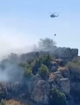 Gaziantep'te Ormanlık Alanda Yangın Denetim Altına Alındı