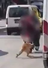 Gaziantep'te Y&uuml;rekleri Burkan Olay: K&ouml;peği Motosikletle S&uuml;r&uuml;klediler!