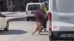 Gaziantep'te Yürekleri Burkan Olay: Köpeği Motosikletle Sürüklediler!