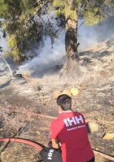 Gazipaşa'daki Orman Yangını Endişe Yarattı