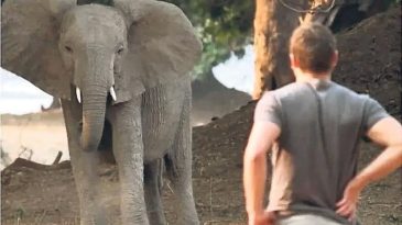 Gen&ccedil; CEO&rsquo;yu Fil Ezdi