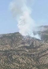 Hakkari'deki Orman Yangını Kontrol Altına Alındı