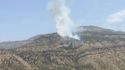 Hakkari'deki Orman Yangını Kontrol Altına Alındı