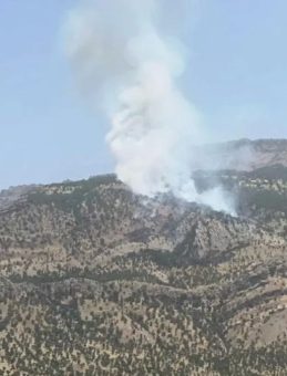 Hakkari'deki Orman Yangını Kontrol Altına Alındı