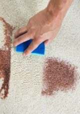 Halıdaki Lekeleri Yok Eden Doğal Y&ouml;ntem!