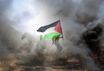 Hamas'tan Gazze'de Ateşkes Teklifine Destek: Müzakerelere Tam Olarak Hazır