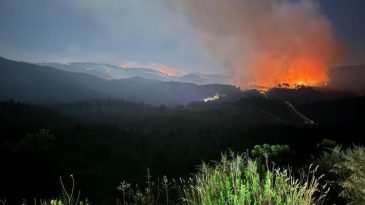 Hatay Yayladağı'ndaki Yangınlara M&uuml;dahale Devam Ediyor: 734 Personel, 7 U&ccedil;ak, 14 Helikopter, 215 Ara&ccedil;