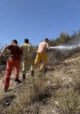 Hatay'da Orman Yangını: Ekipler Hızla M&uuml;dahale Etti!