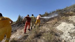 Hatay'da Orman Yangını: Ekipler Hızla Müdahale Etti!