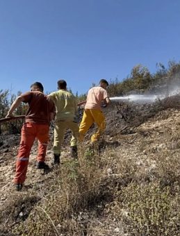 Hatay'da Orman Yangını: Ekipler Hızla Müdahale Etti!
