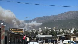 Hatay'da Orman Yangını: Son Durum
