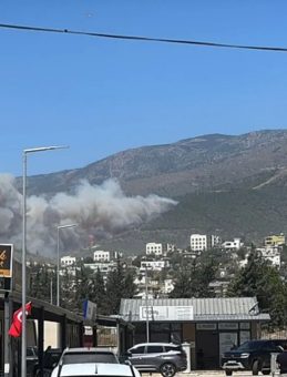 Hatay'da Orman Yangını: Son Durum