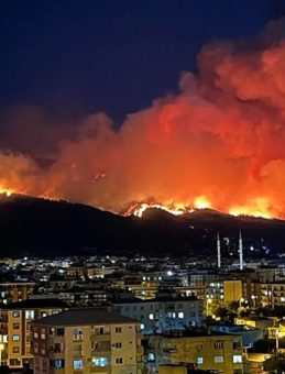 Hatay’daki Orman Yangınına 1 Tutuklama