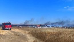 Hayrabolu'daki Anız Yangınında 400 Arı Kovanı Zarar Gördü