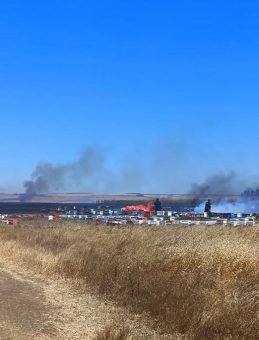 Hayrabolu'daki Anız Yangınında 400 Arı Kovanı Zarar Gördü