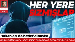 Her Yere Sızmışlar
