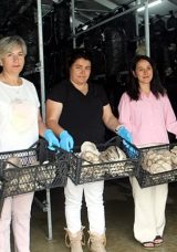 İmkansızı Başardılar: Sinoplu 16 Kadının Mantar &Uuml;retimindeki İlham Verici Hikayesi