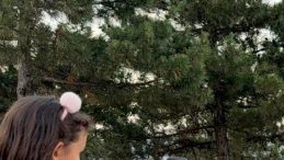 İnsanlar Şaşkın: Yol Kenarında Birinin Hayat Mücadelesi