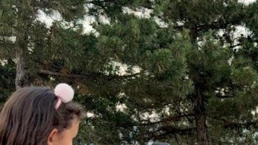 İnsanlar Şaşkın: Yol Kenarında Birinin Hayat M&uuml;cadelesi